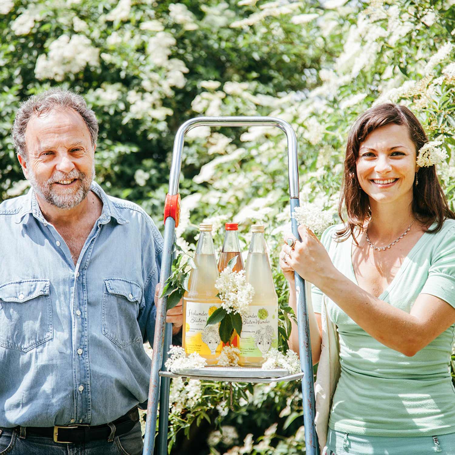 HolunderBlütenWunder Holunderblüten ernten Vater und Tochter
